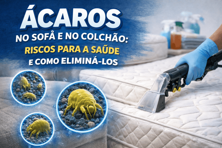 Ácaros no sofá e no colchão: riscos para a saúde e como eliminá-los